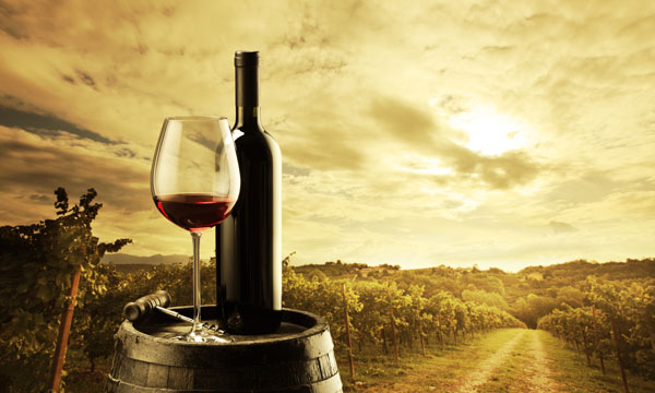terroirs.jpg